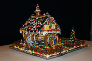 Finally, this is the cottage we all worked on together. Front view.